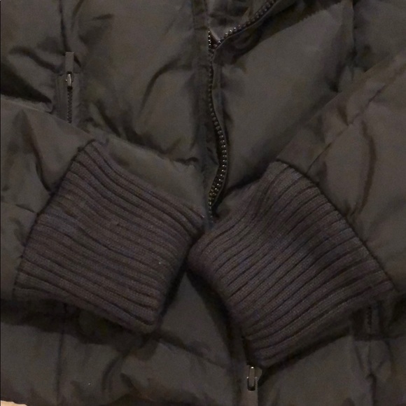 bcbgmaxazria down jacket